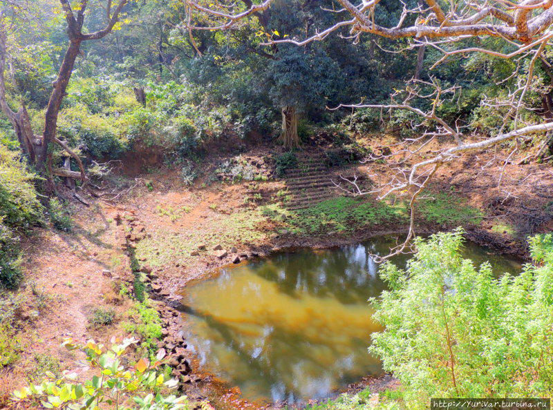 Натуральный источник пресной воды Палолем, Индия