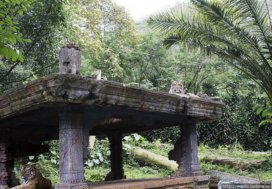 Эти уже кого-то съели... Эти уже кого-то съели...