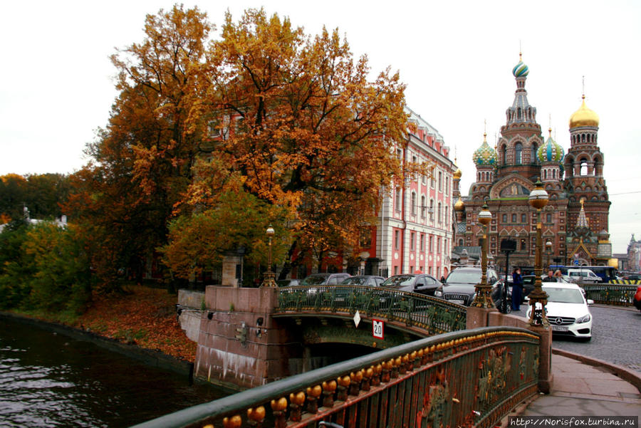 Жить в Питере Санкт-Петербург, Россия