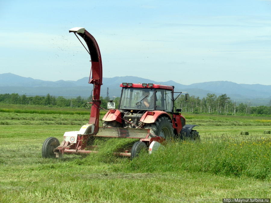 Этот комбайн не новый. Он уже прошел испытание на полях и зарекомендовал себя только с положительной стороны. Южно-Сахалинск, Россия Этот комбайн не новый. Он уже прошел испытание на полях и зарекомендовал себя только с положительной стороны. Южно-Сахалинск, Россия
