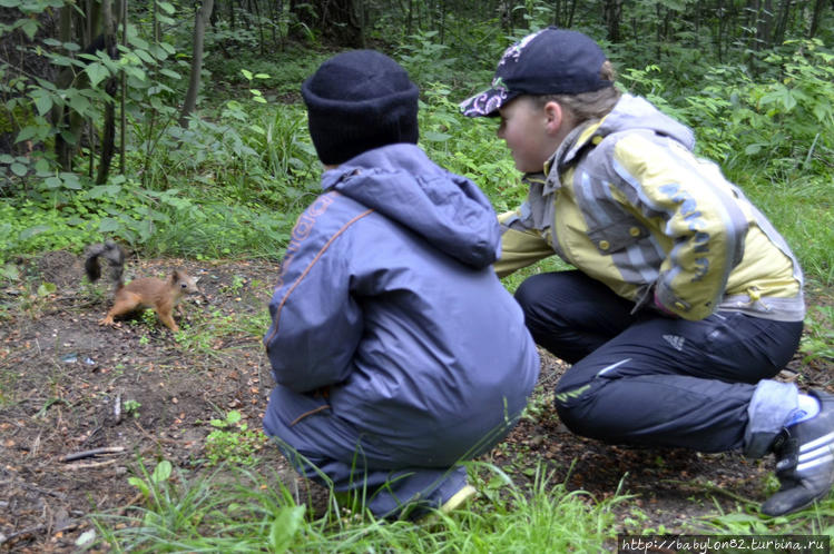 Накормим от души! Накормим от души!