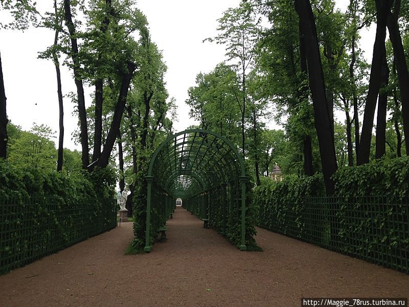 Летний сад Летний сад
