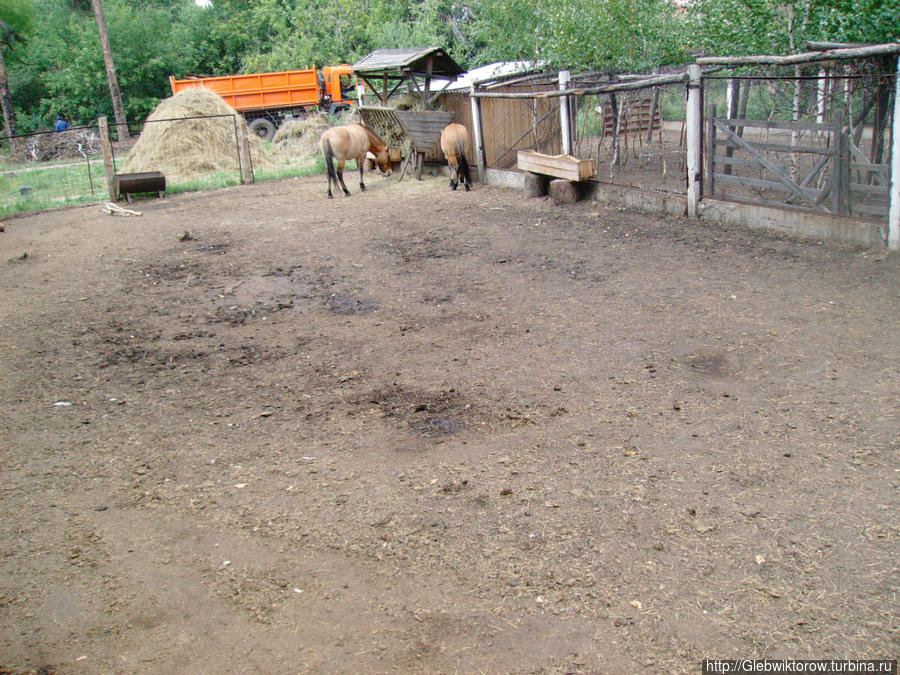 Музей природы Боровое, Казахстан