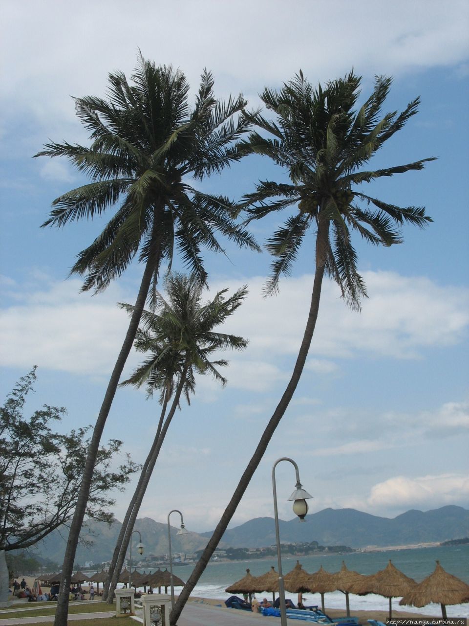 г. Нячанг. Южно-Китайское море. Пляж и пальмы Нячанг, Вьетнам