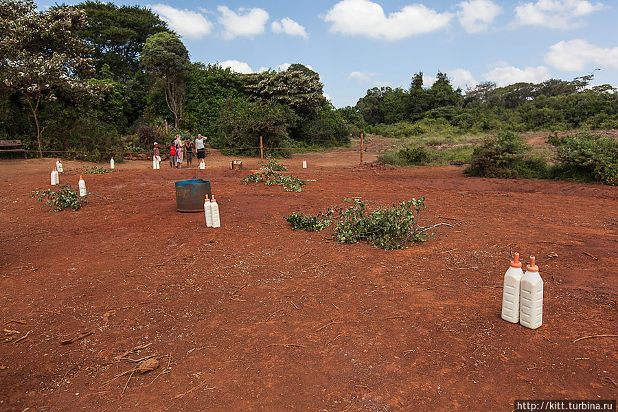 К назначенному времени около входа собираются группы белых, которых после оплаты билета, проводят мимо пустых вольеров и оставляют около небольшой огороженой площадки, на которой расставлены бутылочки, напоминающие соски для гигантских малышей. Найроби, Кения