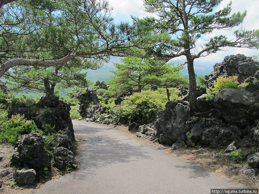 Прогулка по преисподней — парк Ониосидасиэн Префектура Гумма, Япония