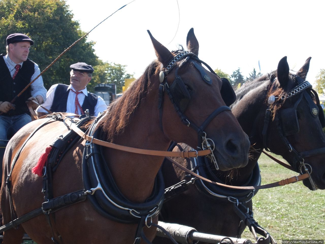 Баба з возу — кобыле легше Фишбах, Германия Баба з возу — кобыле легше Фишбах, Германия