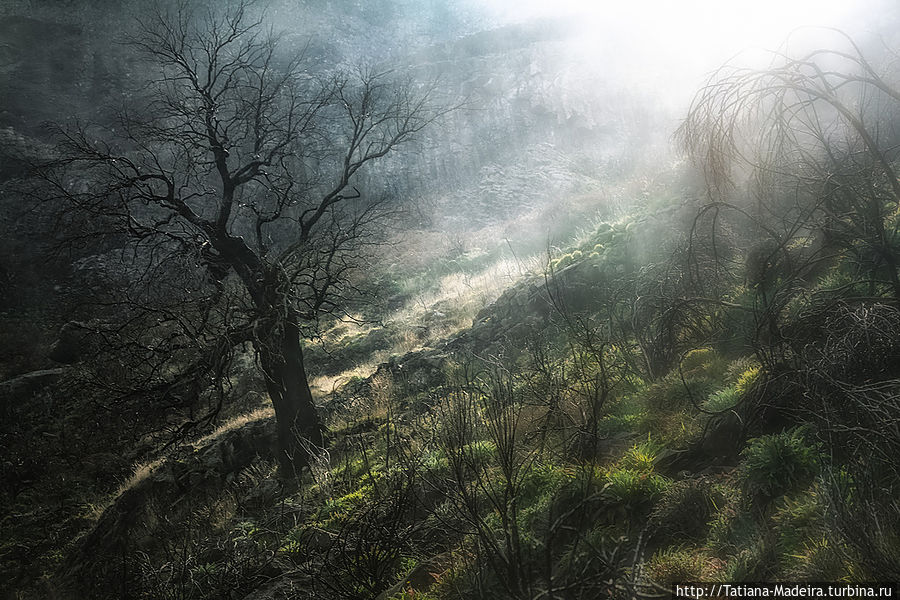 Пик Руйву Регион Мадейра, Португалия Пик Руйву Регион Мадейра, Португалия