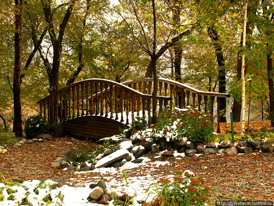 На горе Кок-Тобе Заилийский Алатау (горный хребет), Казахстан На горе Кок-Тобе Заилийский Алатау (горный хребет), Казахстан