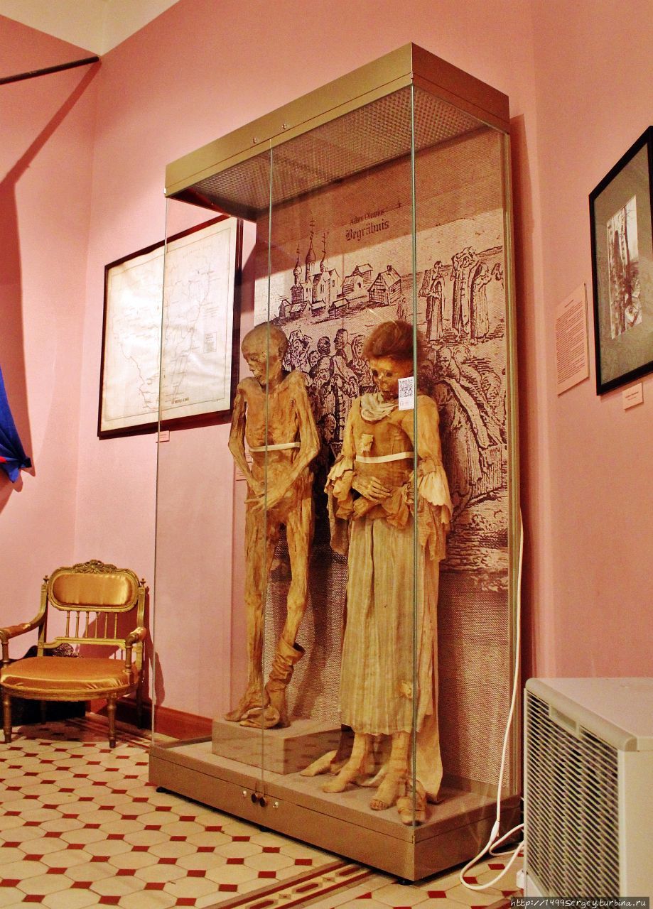 Краеведческий музей города Ломоносова Ломоносов, Россия