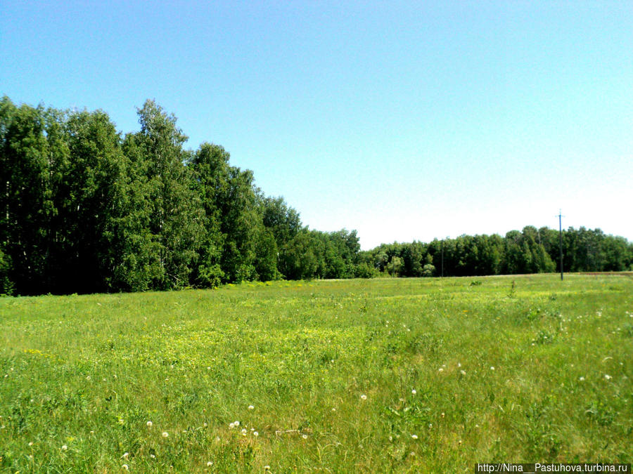 Последний день весны Оренбургская область, Россия Последний день весны Оренбургская область, Россия