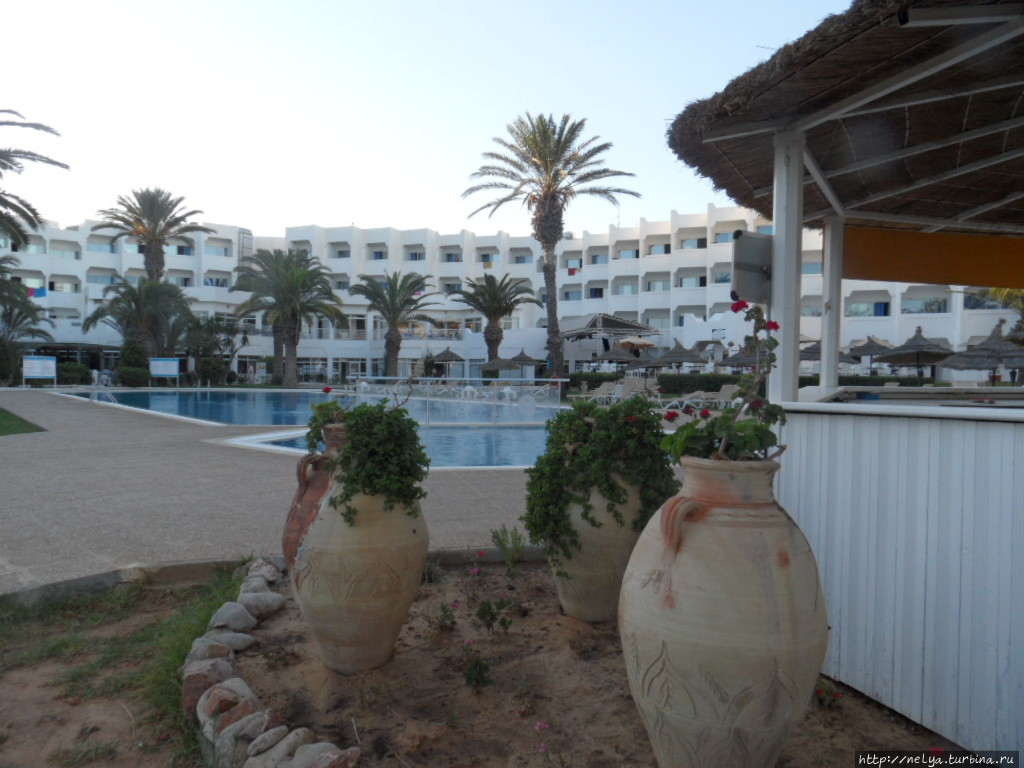 Отель Палм Бич Клуб Хаммамет Хаммамет, Тунис