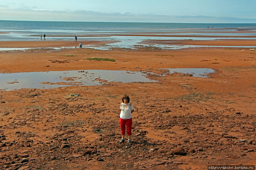 Берег красного песка. Городок Виктория Приморская Виктория, Канада