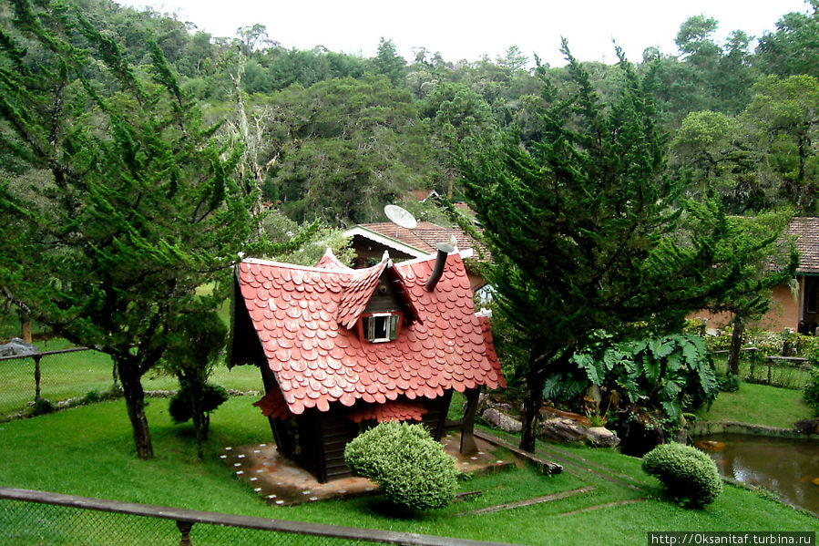 Зачарованный лес Кампус-ду-Жордан, Бразилия