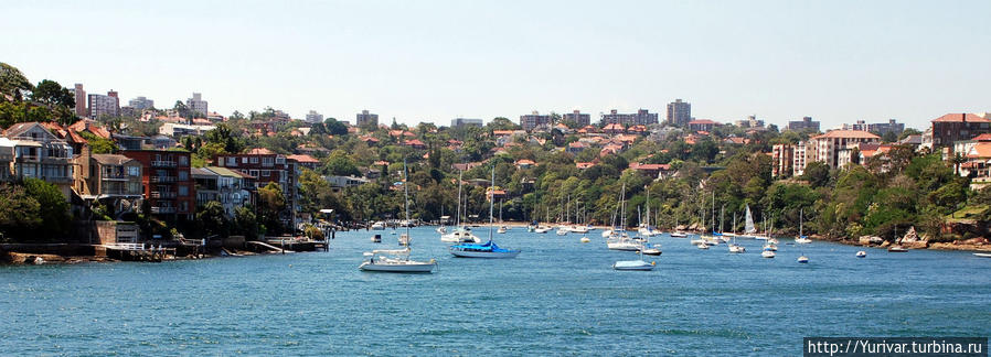 Очень многие австралийцы имеют свои яхты Сидней, Австралия