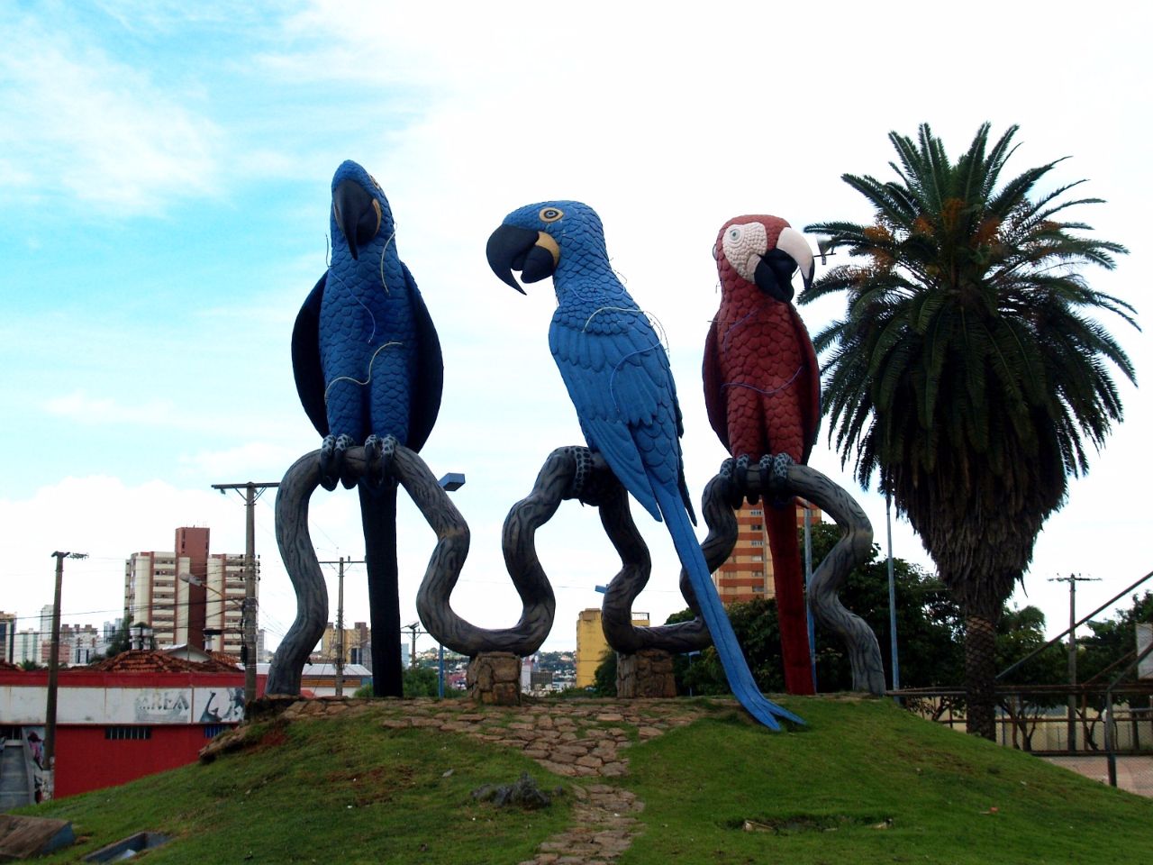 Площадь попугаев ара / Praça das Araras