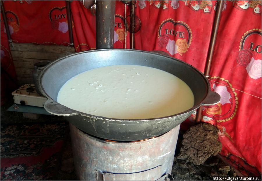 Из этого молока можно много чего сделать... Озеро Сон-Куль, Киргизия
