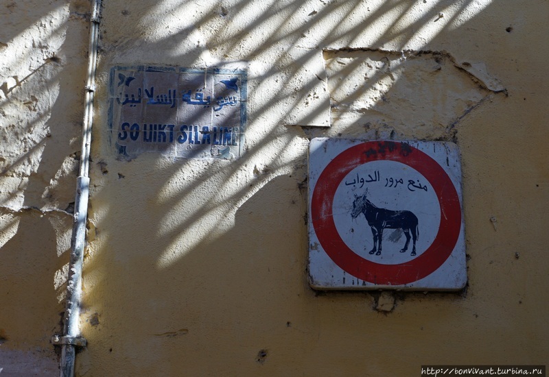 Осликам запрещено) Фес, Марокко