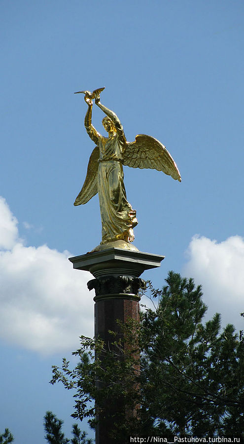 фото из интернета фото из интернета