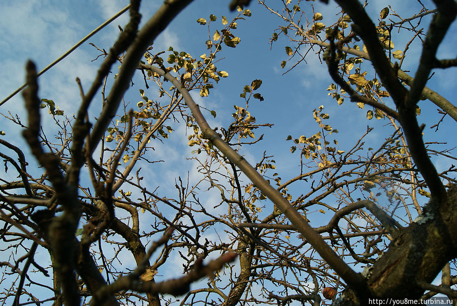 Богородск Москва и Московская область, Россия Богородск Москва и Московская область, Россия