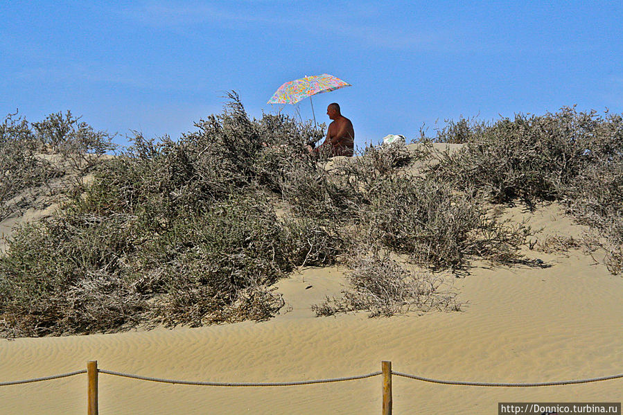 идеальное место на вершине небольшой дюны идеальное место на вершине небольшой дюны