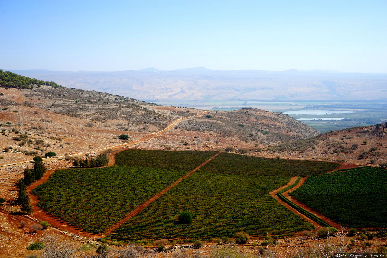 Об Израиле с любовью. От форта Йеша  до  горы Мерон... Мерон (город и гора 1208м), Израиль
