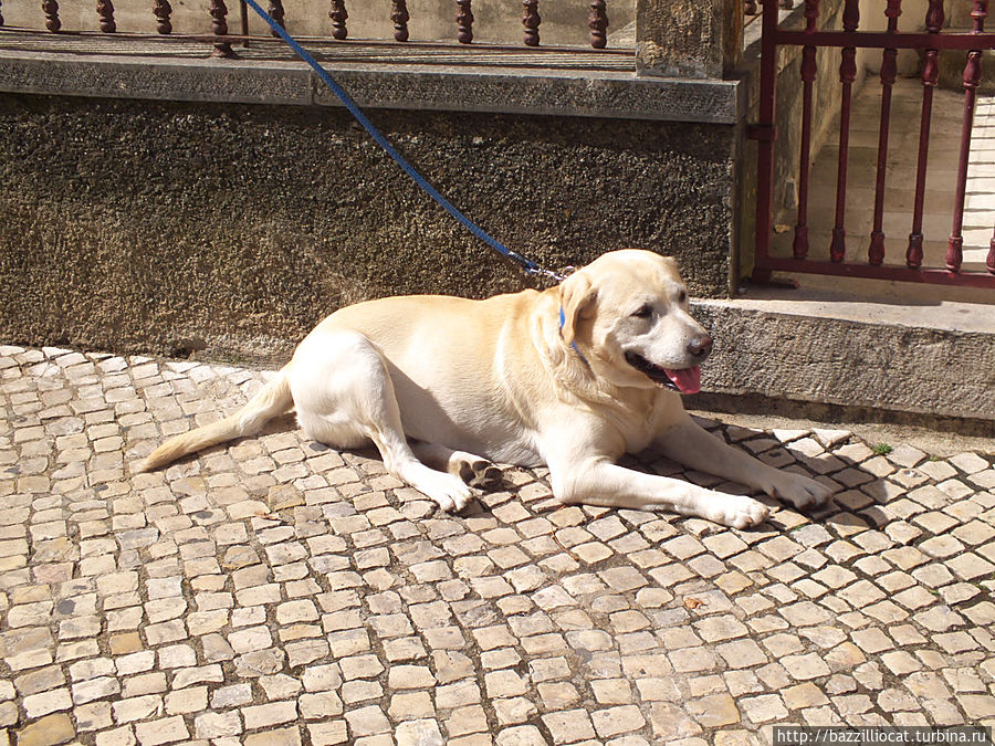 Тяжко, блин! Тяжко, блин!