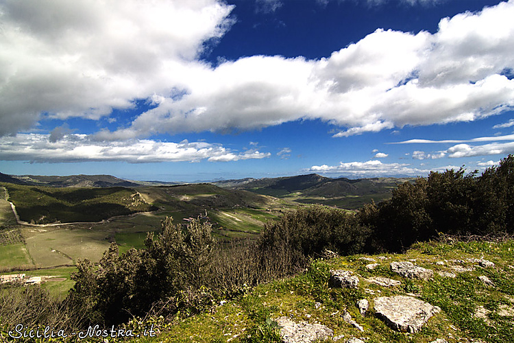 Если забраться на один из Если забраться на один из