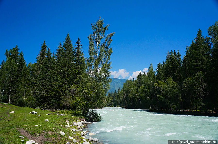 Река Кучерла Река Кучерла