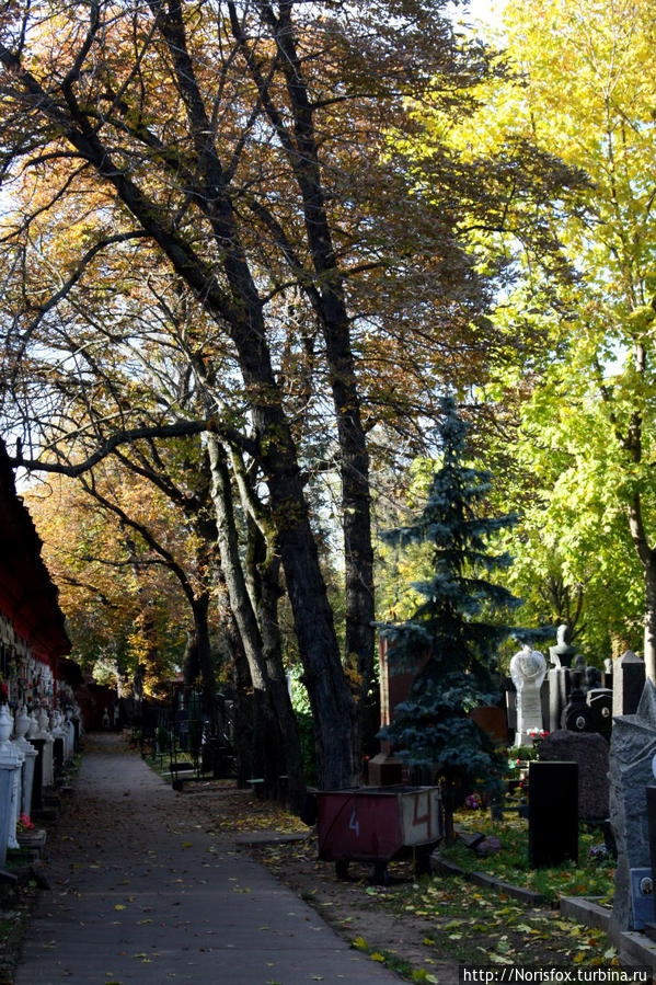 Осень. Новодевичье Москва, Россия