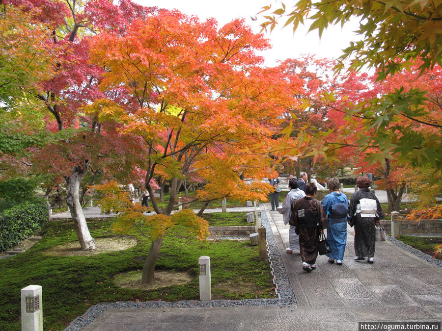 На аллеях многочисленных храмов Киото Япония