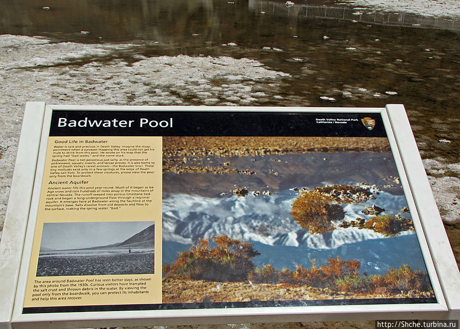 Прикольно звучит Прикольно звучит