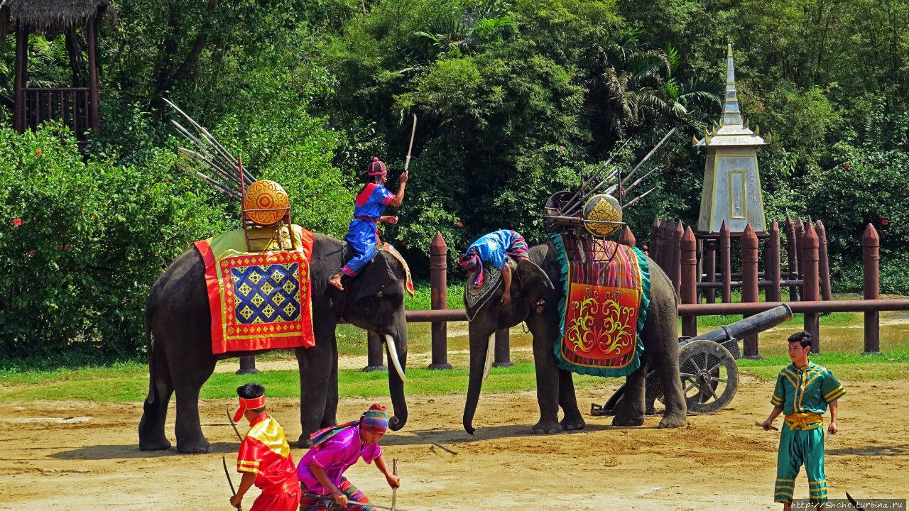 Elephant Show (Samphran Elephant Ground & Zoo) Сам-Пран, Таиланд