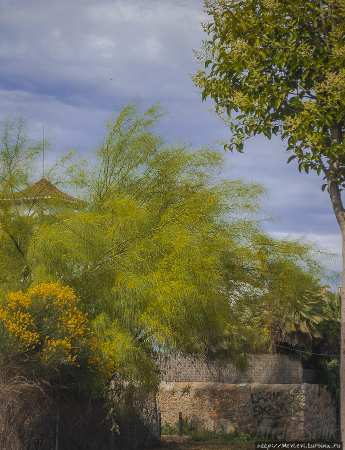 Пляжи Ситжеса Ситжес, Испания Пляжи Ситжеса Ситжес, Испания