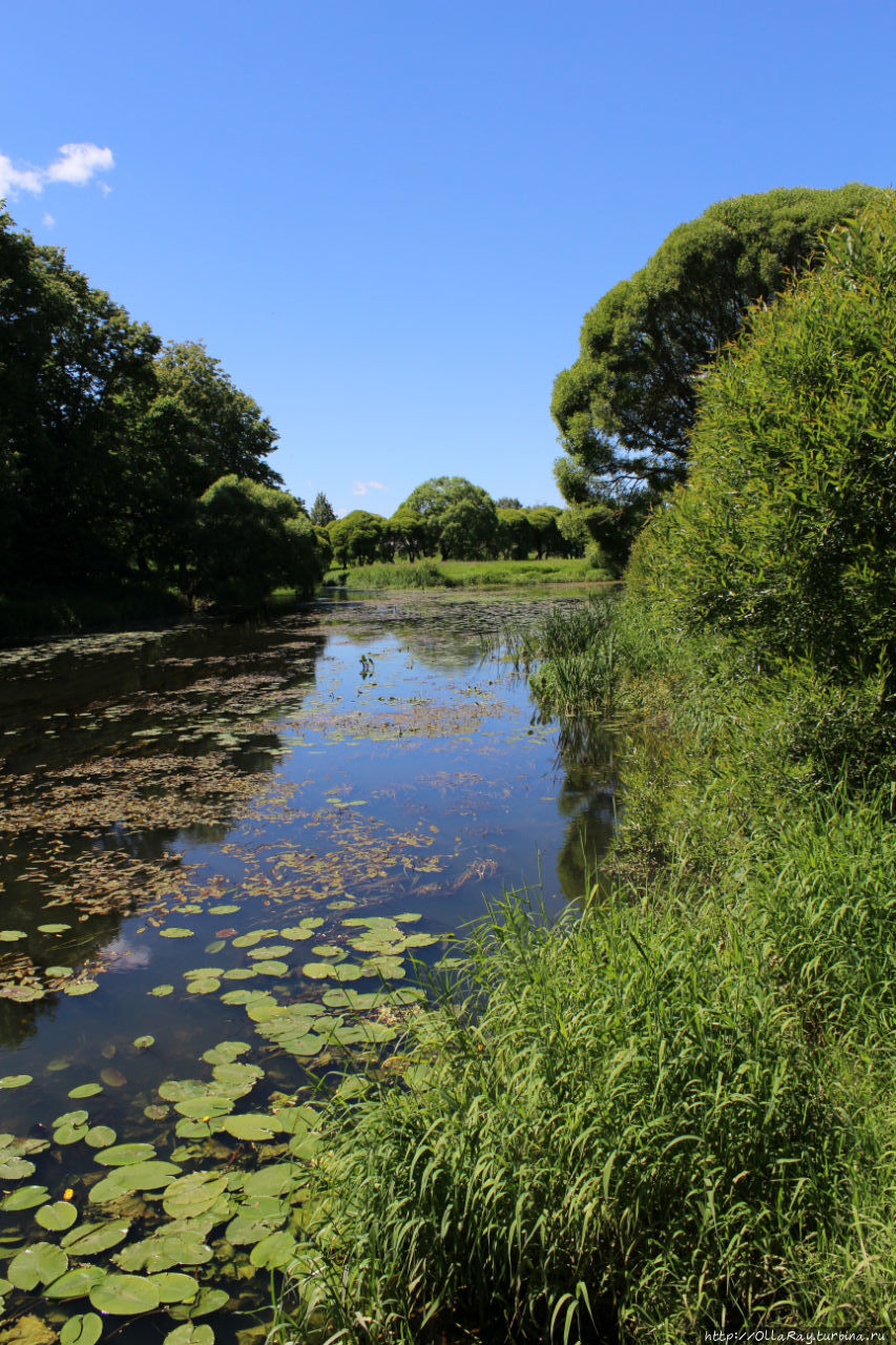 Внезапно удивительная Вязьма Вязьма, Россия Внезапно удивительная Вязьма Вязьма, Россия