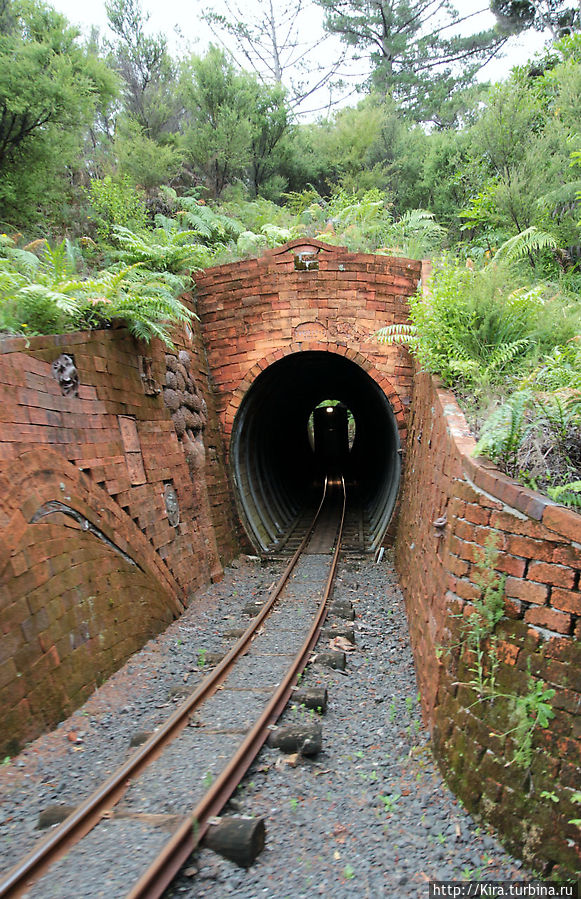 Driving Creek Railway Driving Creek Railway