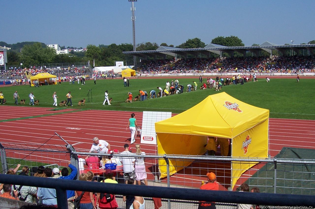 Снова Ульм, снова Зигер! Ульм, Германия Снова Ульм, снова Зигер! Ульм, Германия