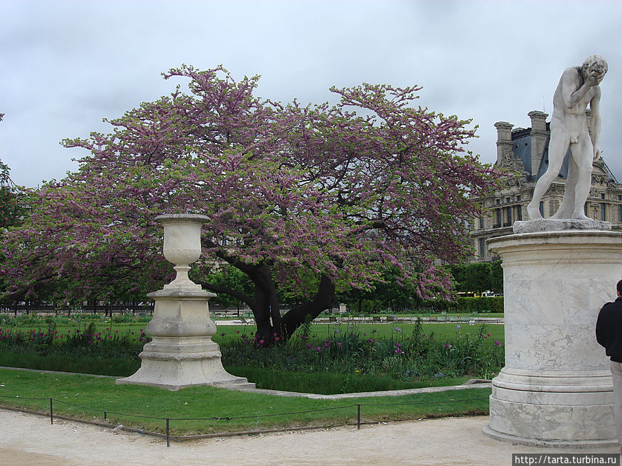 В саду много ирисов, тюльпанов и цветущих деревьев Париж, Франция