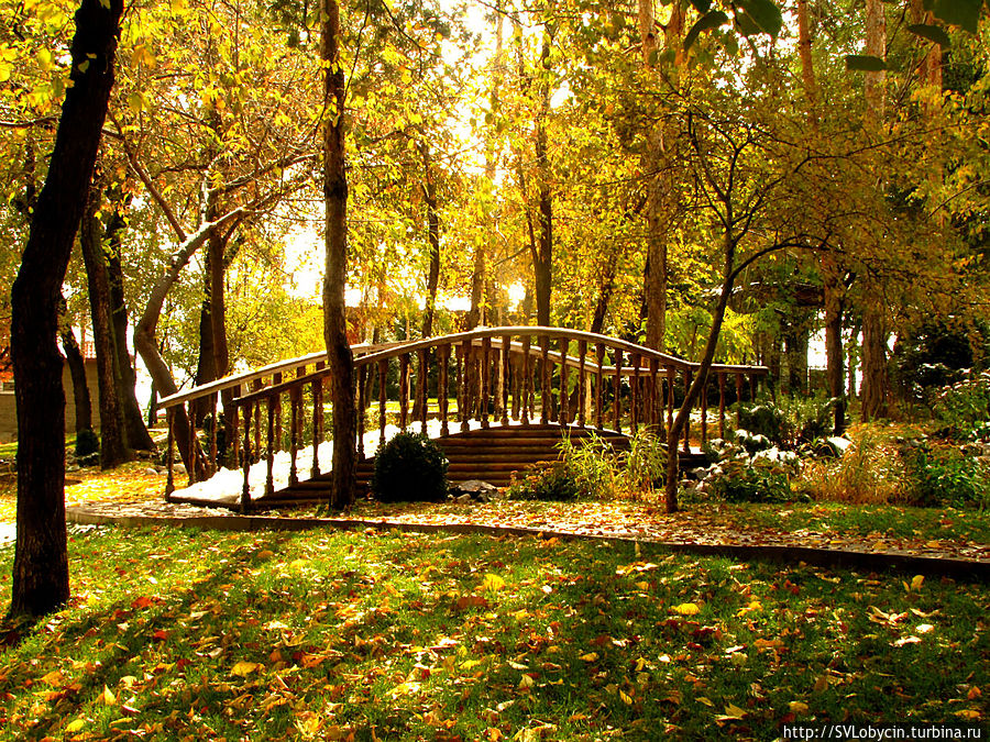 На горе Кок-Тобе На горе Кок-Тобе