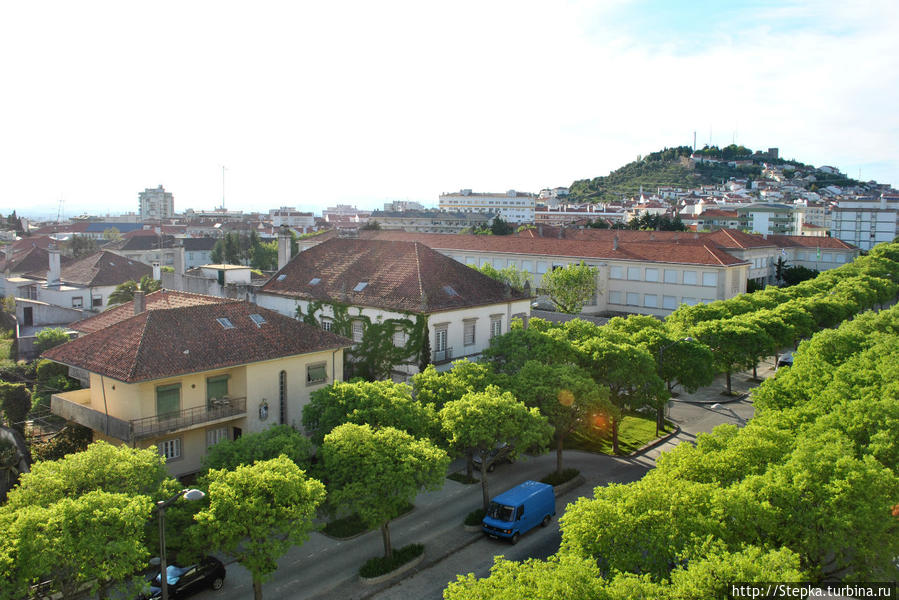 Это одна из центральных улиц города Каштелу Бранку.
Вдали виднеется холм, на котором сохранились остатки старинных тамплиерских крепости и церкви.
Ниже крепости, вокруг верхушки холма и ниже, к подножию, располагается историческая часть города. Каштелу-Бранку, Португалия
