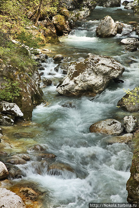 Толминское ущелье в Триглавском национальном парке Триглав Национальный Парк, Словения