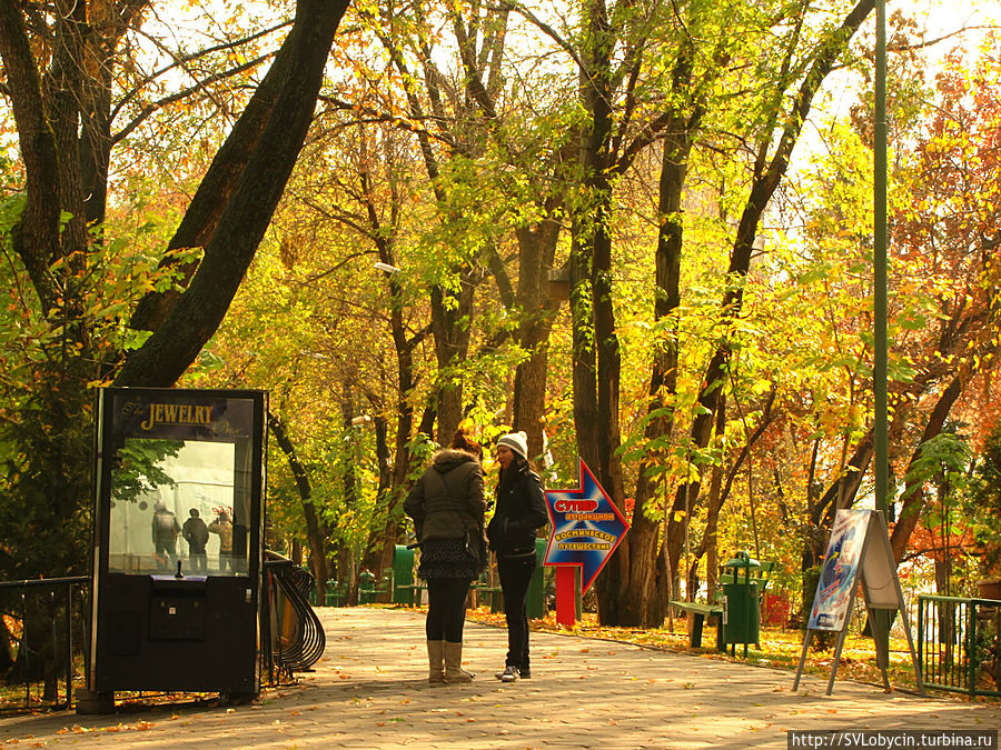 На горе Кок-Тобе На горе Кок-Тобе