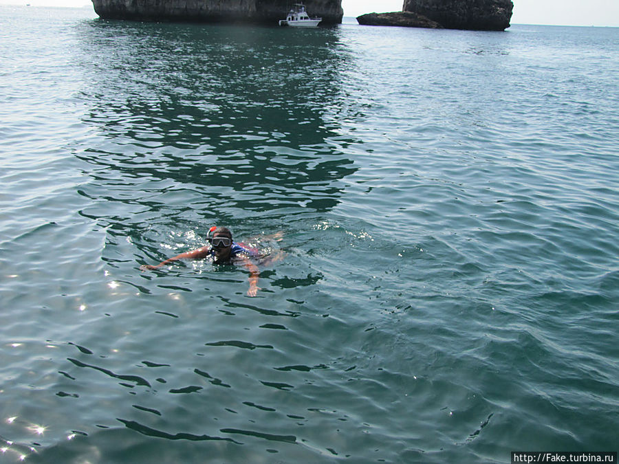 снорклинг на Пи Пи никакой, рыбок мало и ничего особенного снорклинг на Пи Пи никакой, рыбок мало и ничего особенного