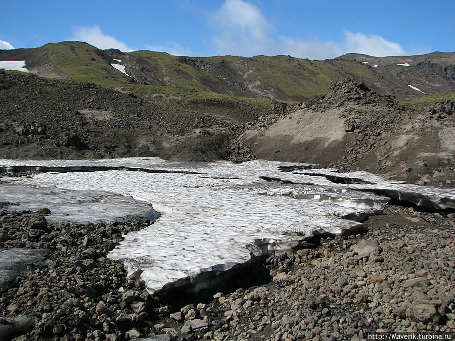 Снежник. Снежник.