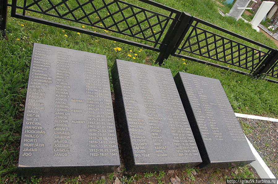 Памятник венгерским военнопленным, умершим в плену Энгельс, Россия