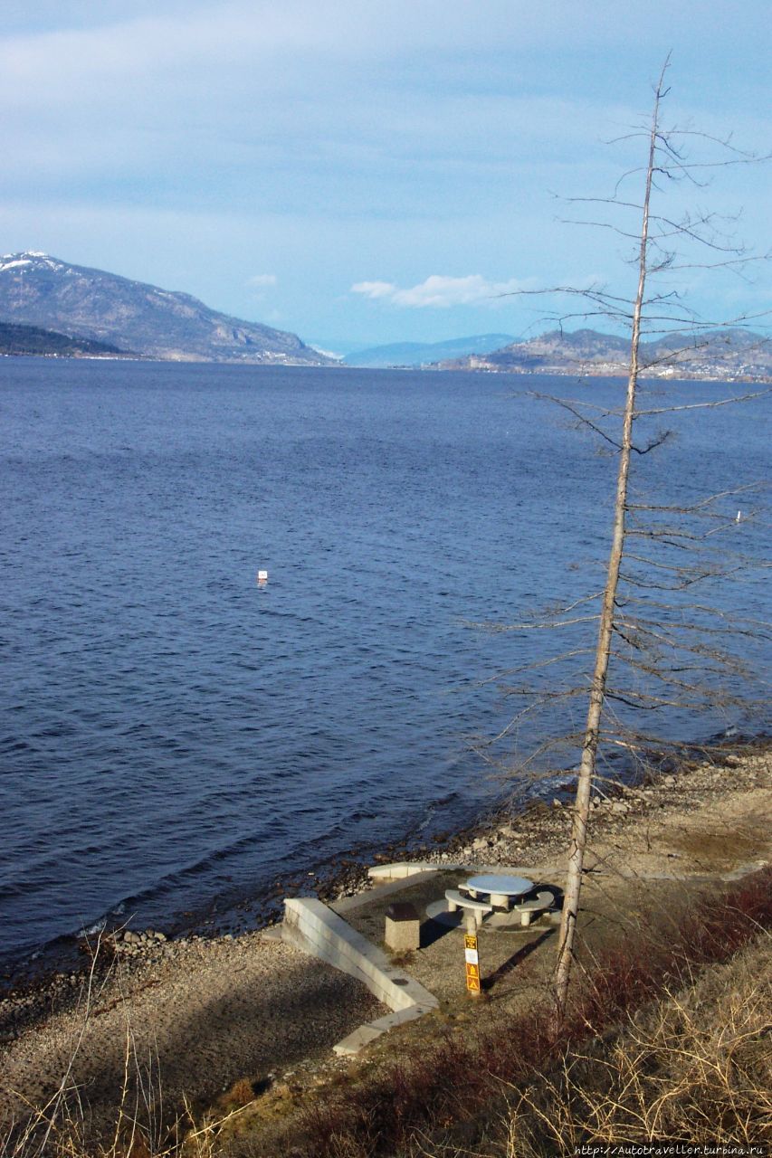 КТО С НАМИ? Россия КТО С НАМИ? Россия