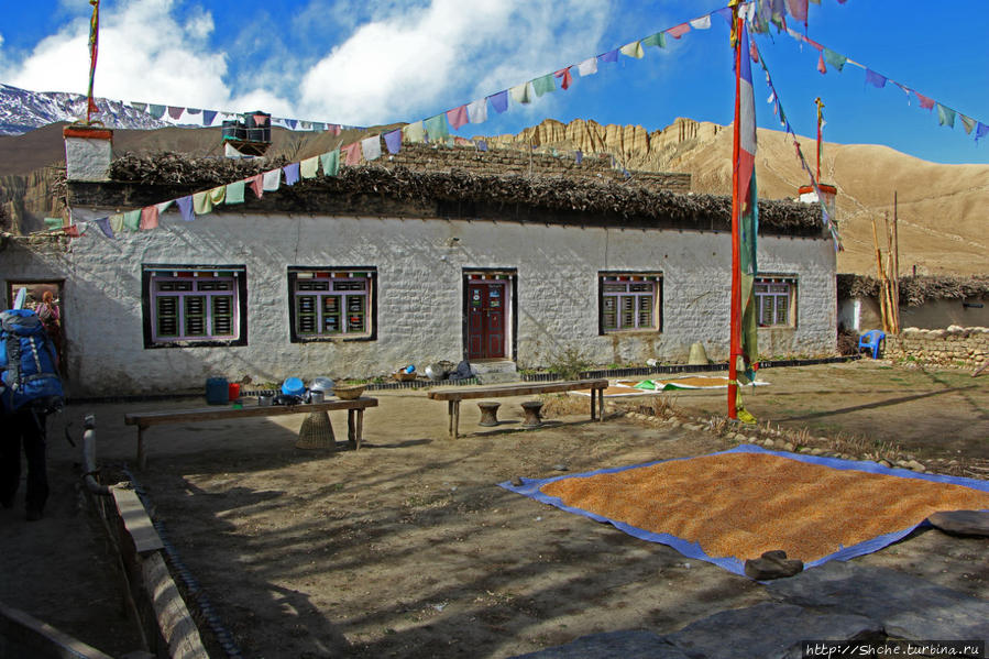 Ло-Гами Гестхауз Гами, Непал