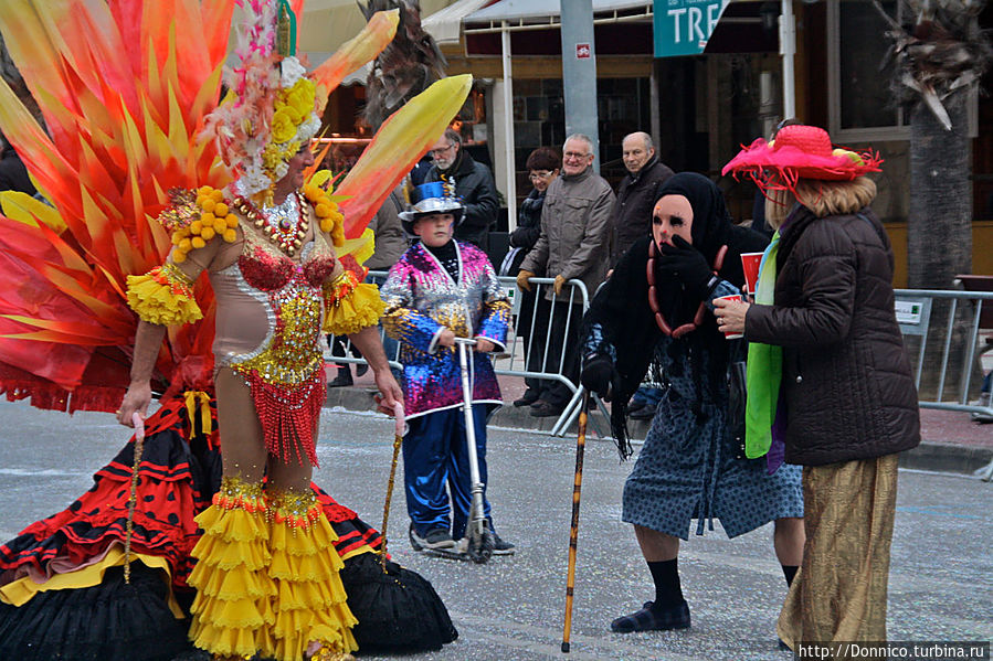 этот кетцаль-грифон выступал в паре вот с такой забавной бабулей, напоминающий какого-то хэллоуинского персонажа... этот кетцаль-грифон выступал в паре вот с такой забавной бабулей, напоминающий какого-то хэллоуинского персонажа...