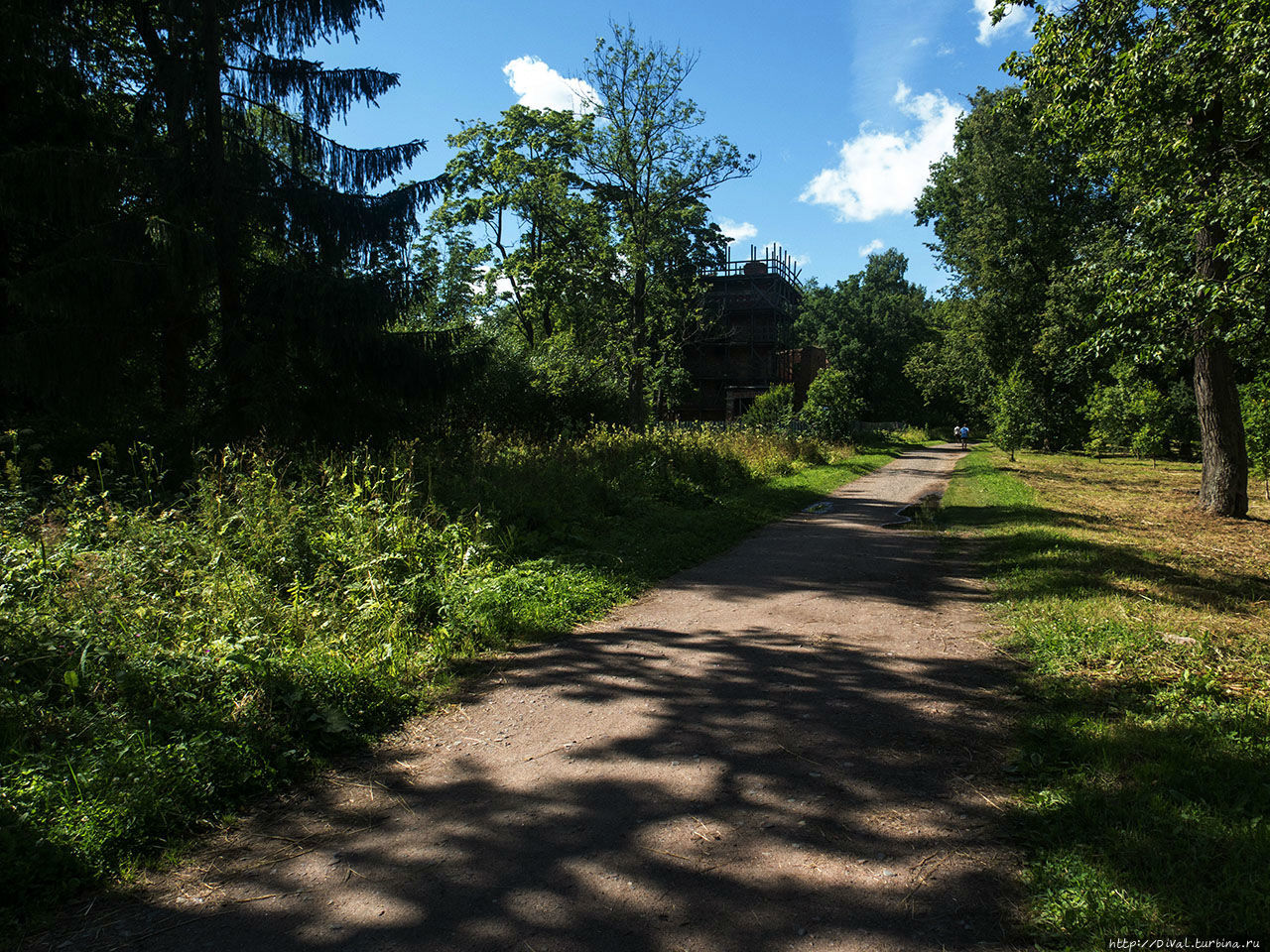 Царское Село. Часть 2-я: Ламские пруды. Пушкин, Россия