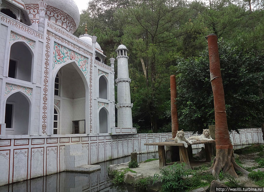 Местный мишка, маленький очень. Местный мишка, маленький очень.